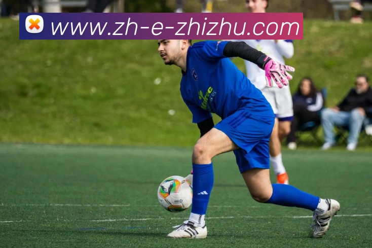 蜘蛛直播平台生态图